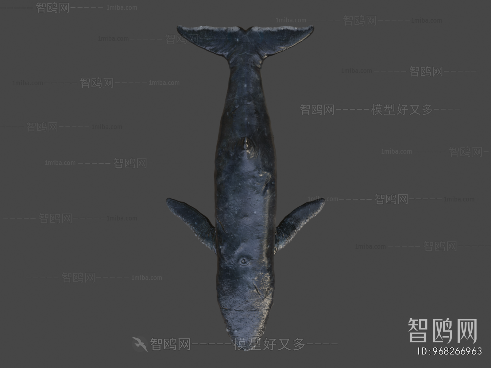 Modern Aquatic Animals