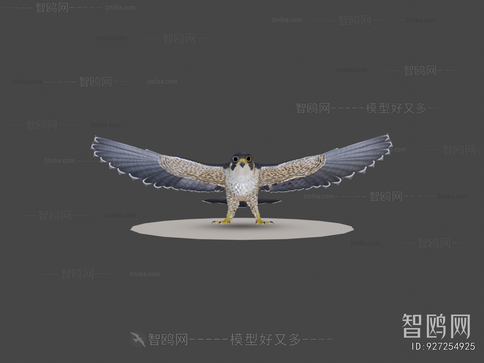 Modern Flying Animals