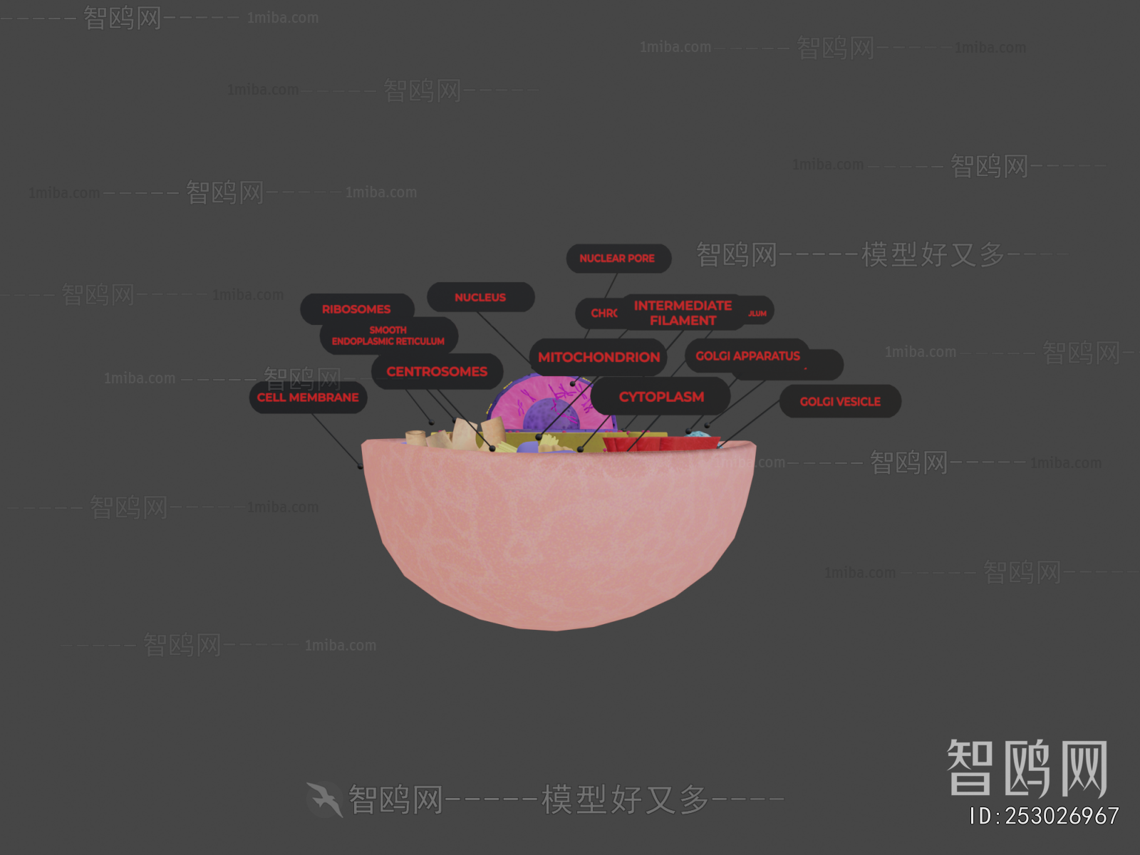 Modern Medical Equipment