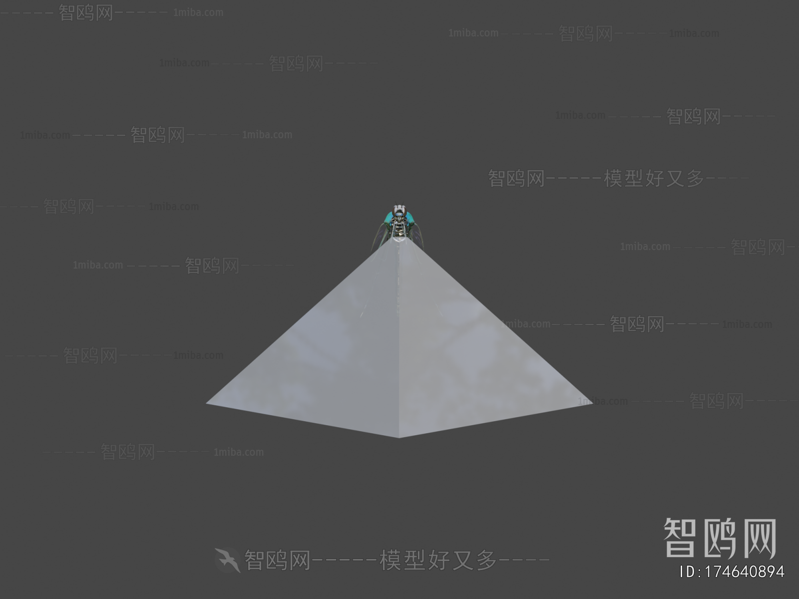 Modern Flying Animals