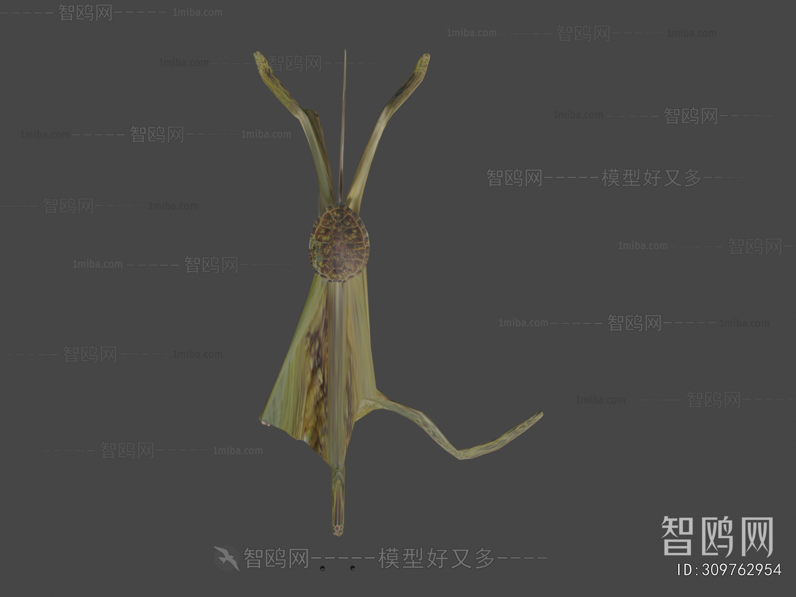 Modern Aquatic Animals