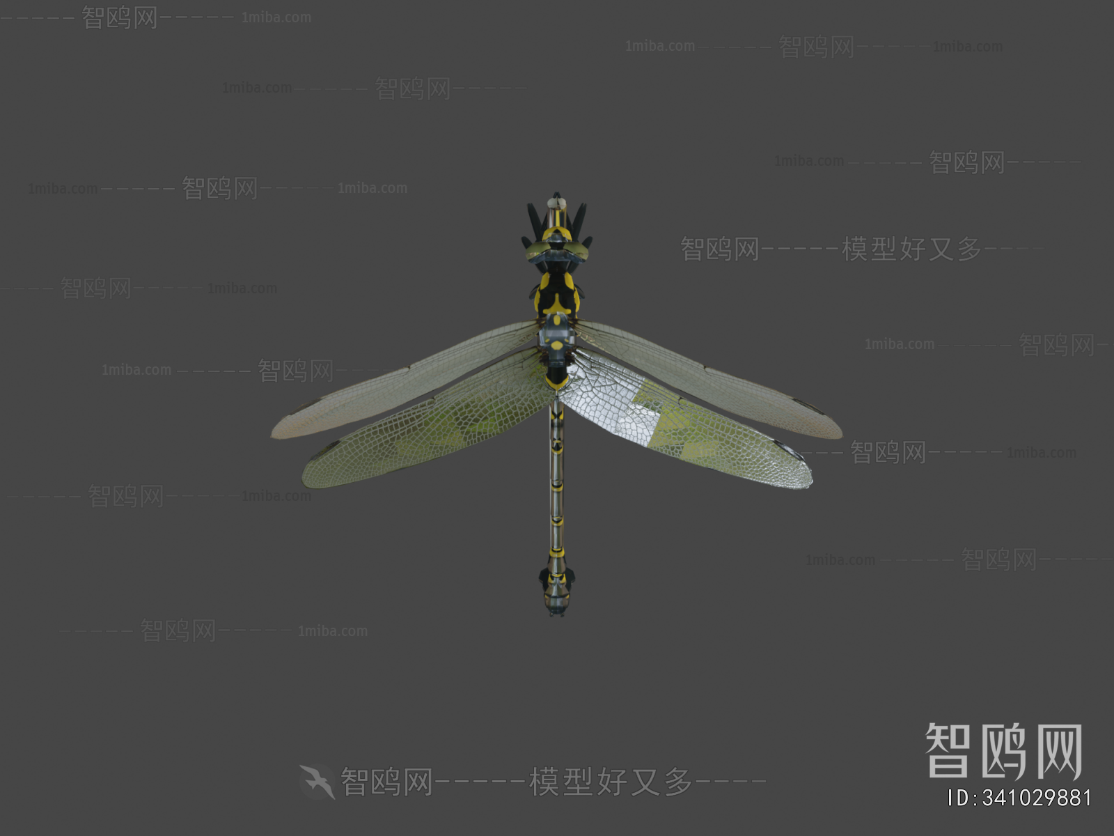 Modern Flying Animals