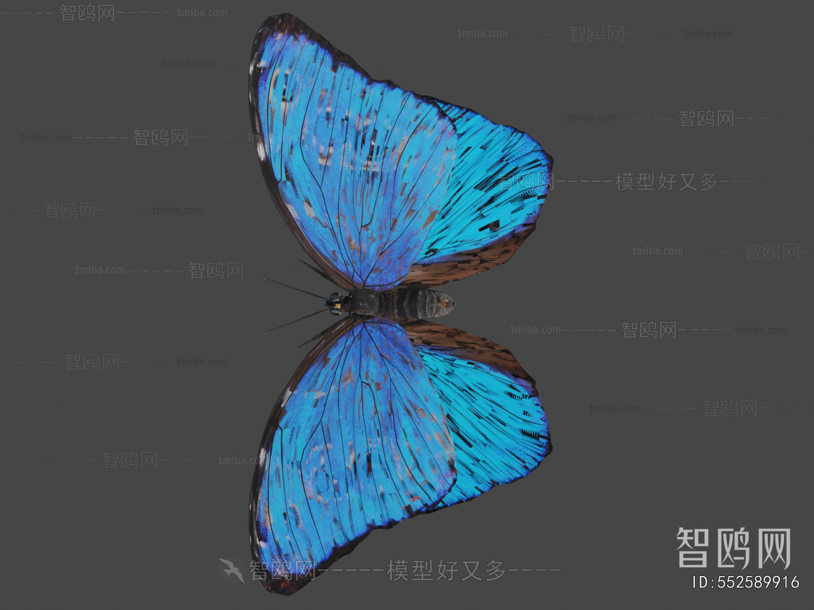 Modern Flying Animals