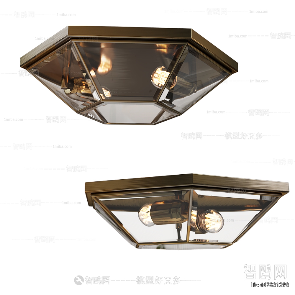 Modern Ceiling Ceiling Lamp