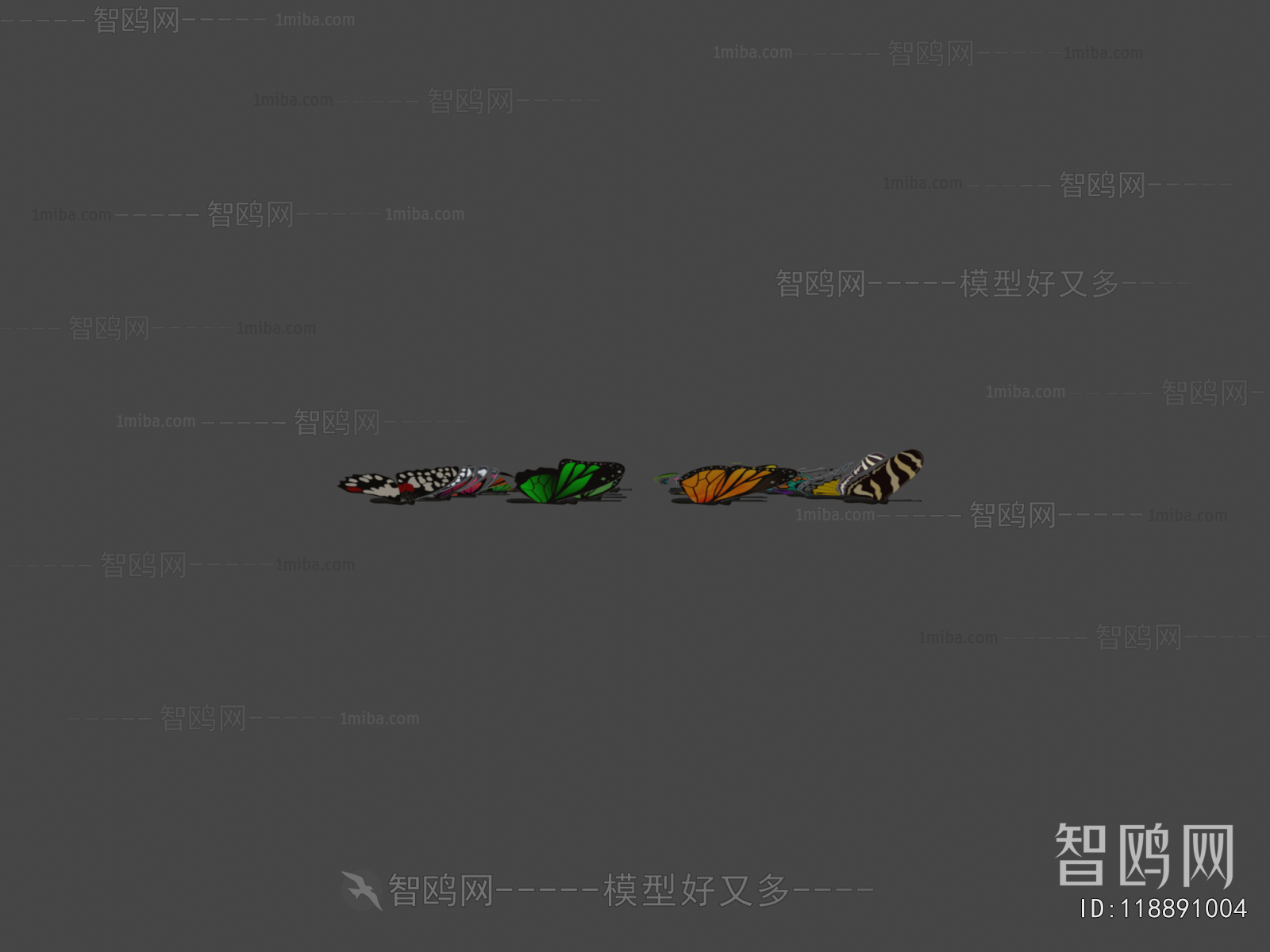 Modern Flying Animals