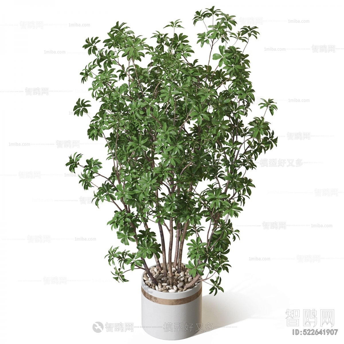 Modern Ground Green Plant Potted Plants