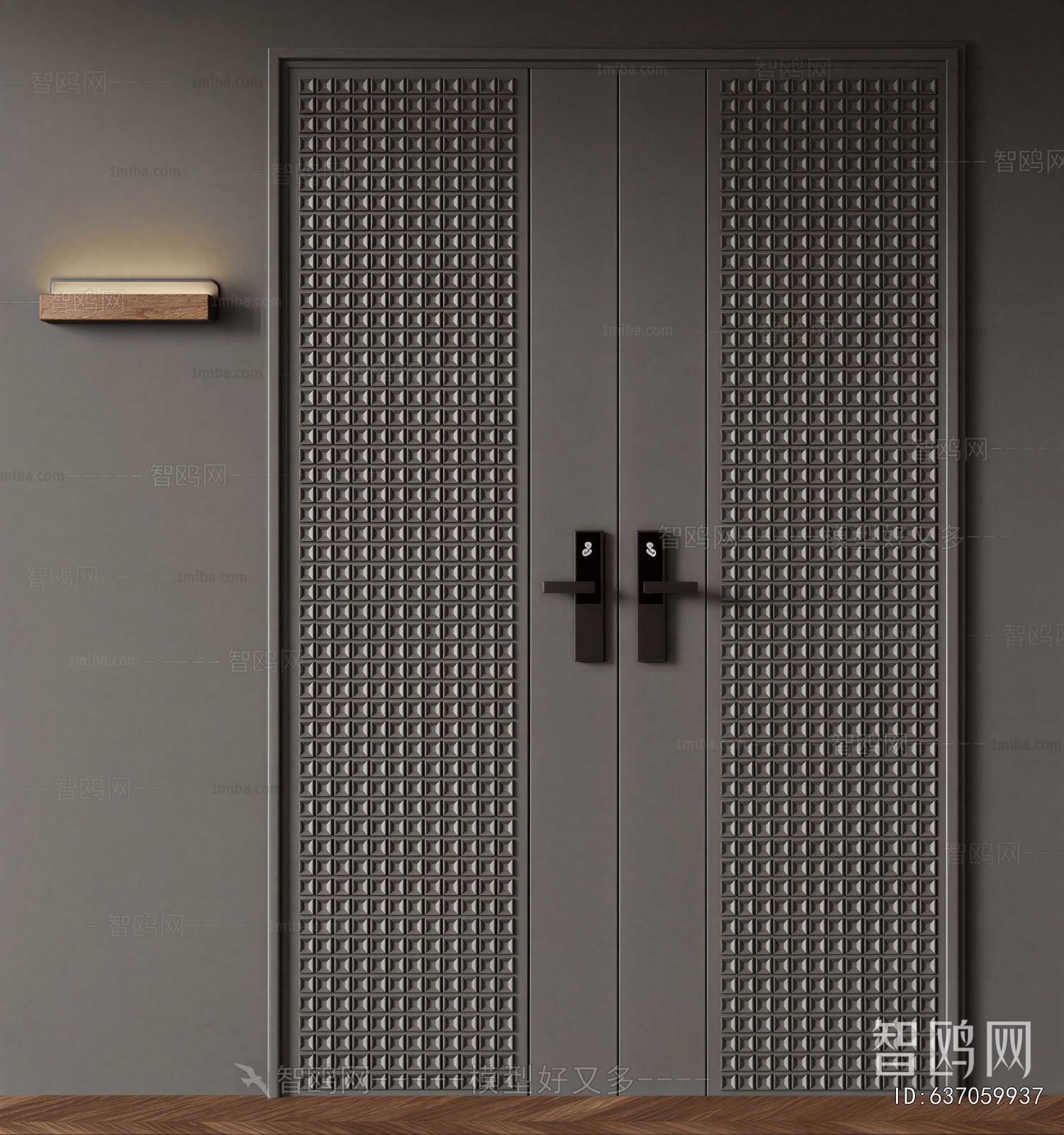 Modern Entrance Door