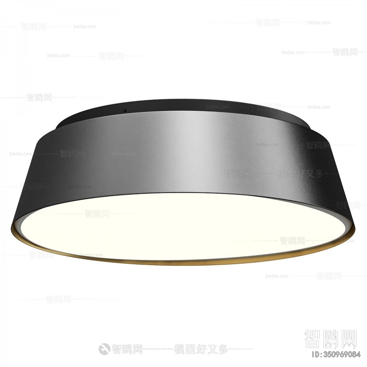 Modern Ceiling Ceiling Lamp
