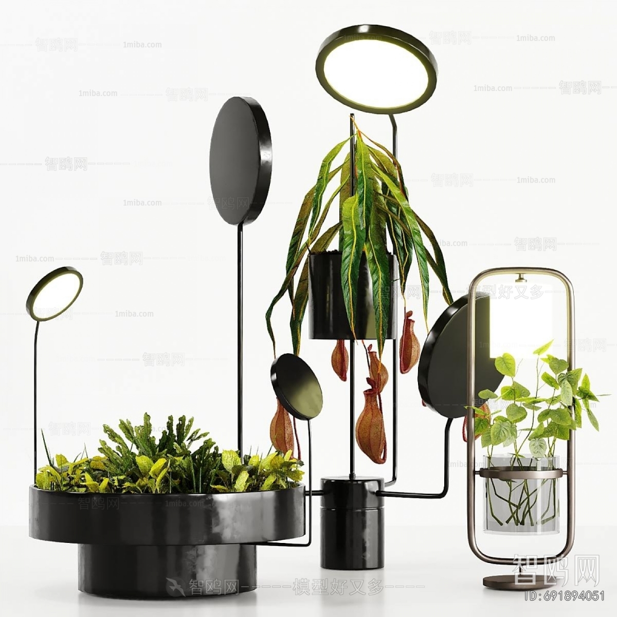 Modern Potted Green Plant