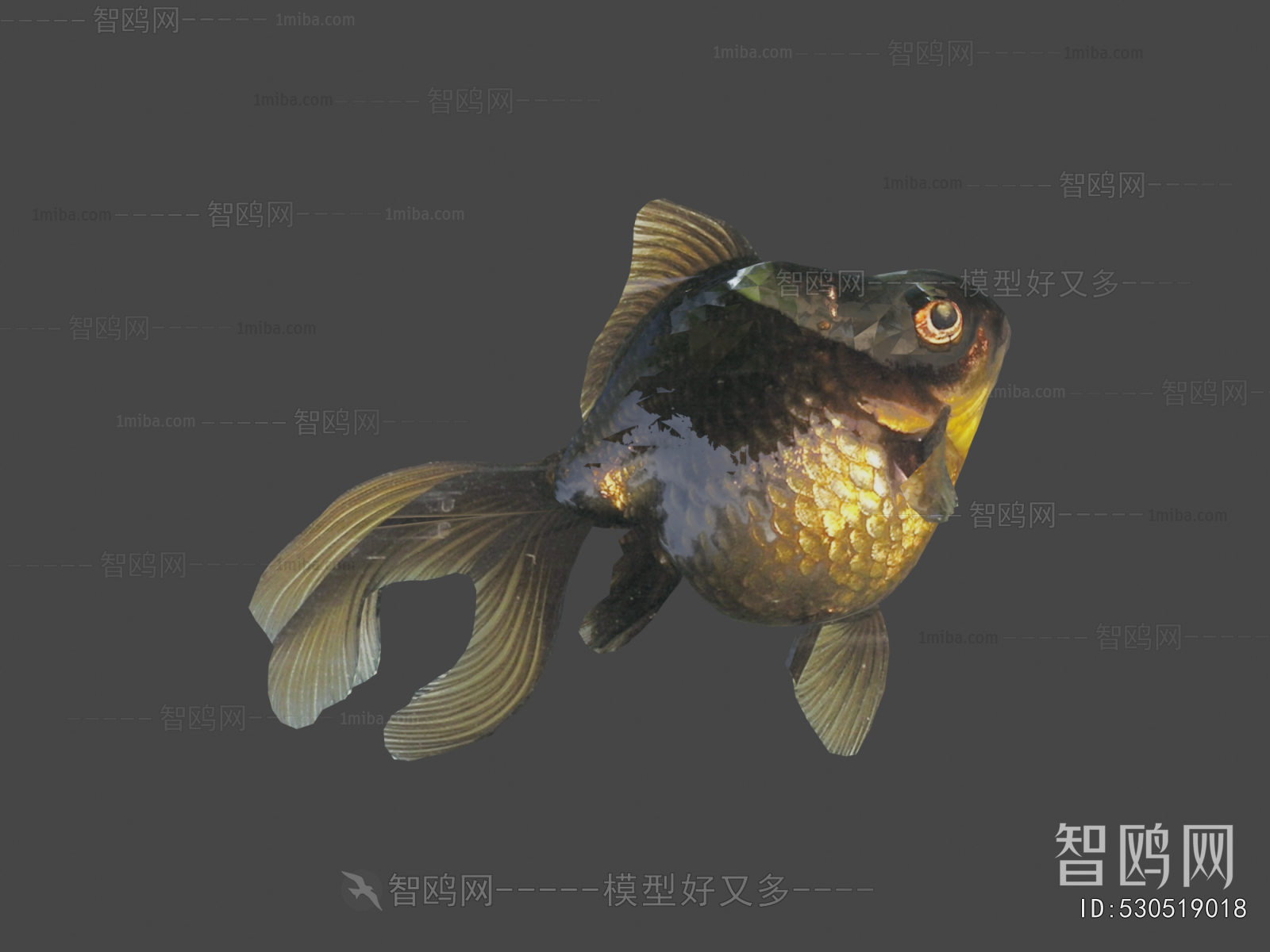 Modern Aquatic Animals