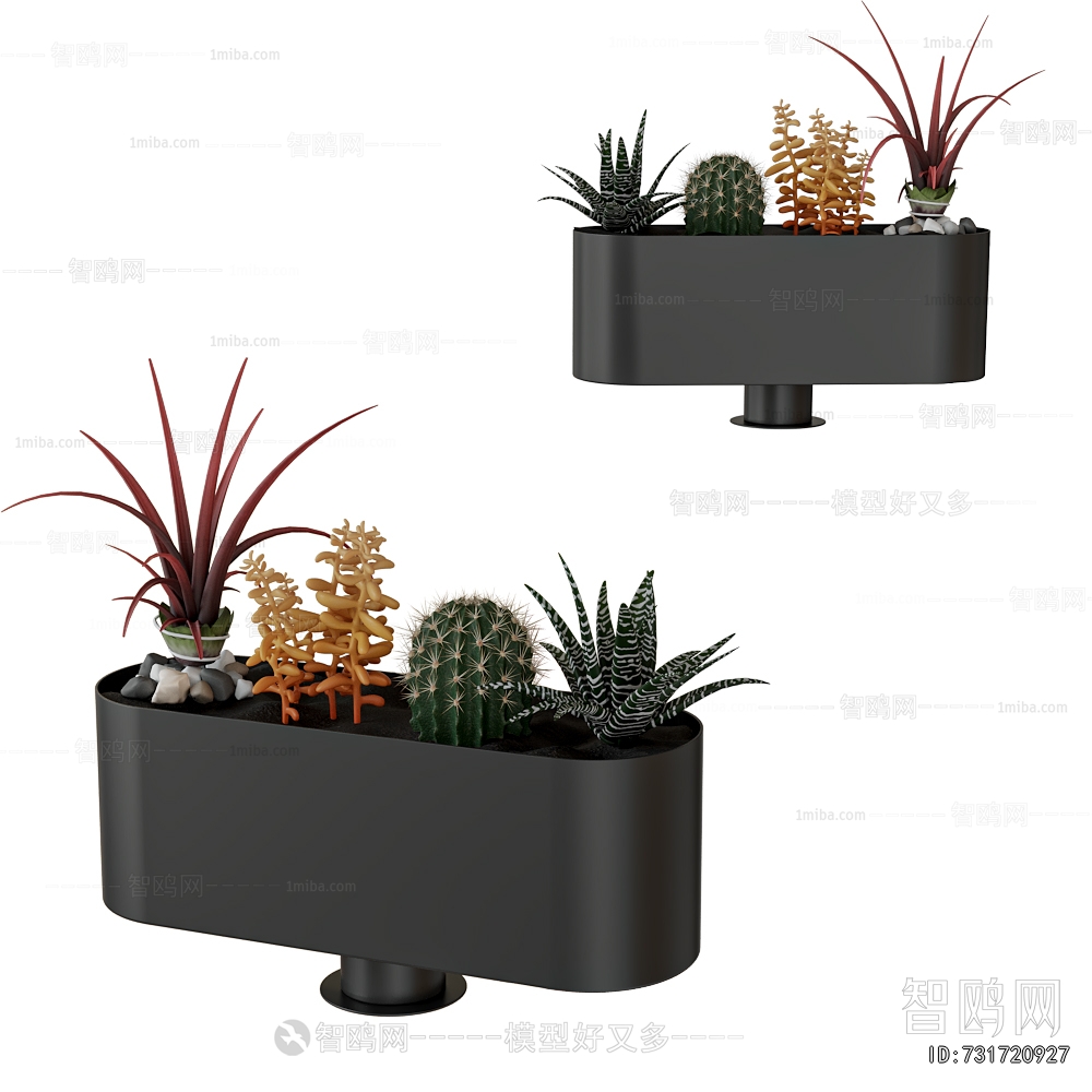 Modern Flower Bed, Flower Bowl, Flower Box