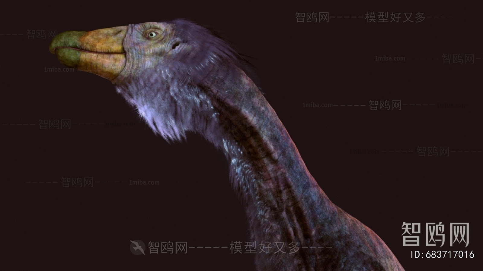 Modern Flying Animals