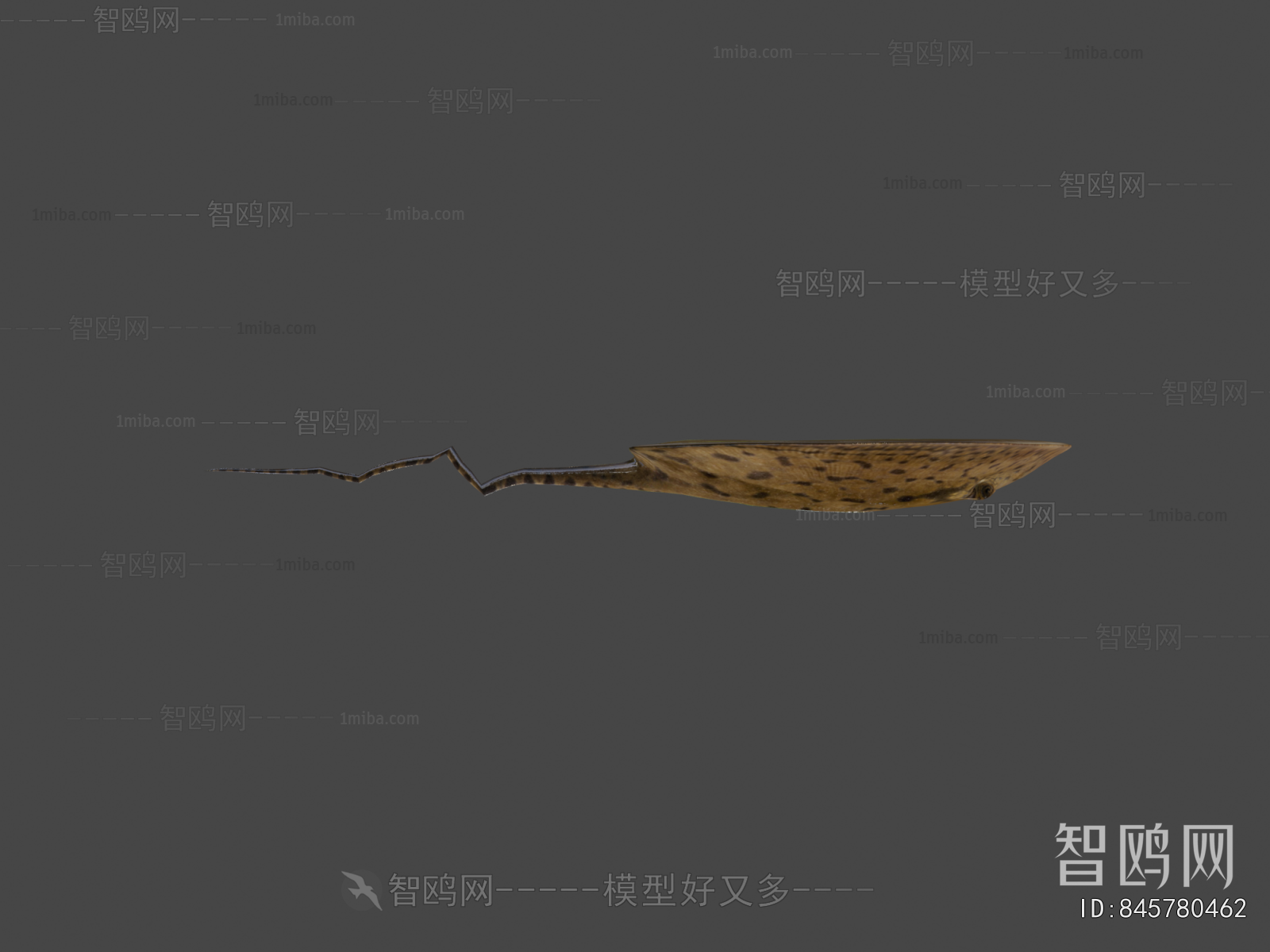 Modern Aquatic Animals