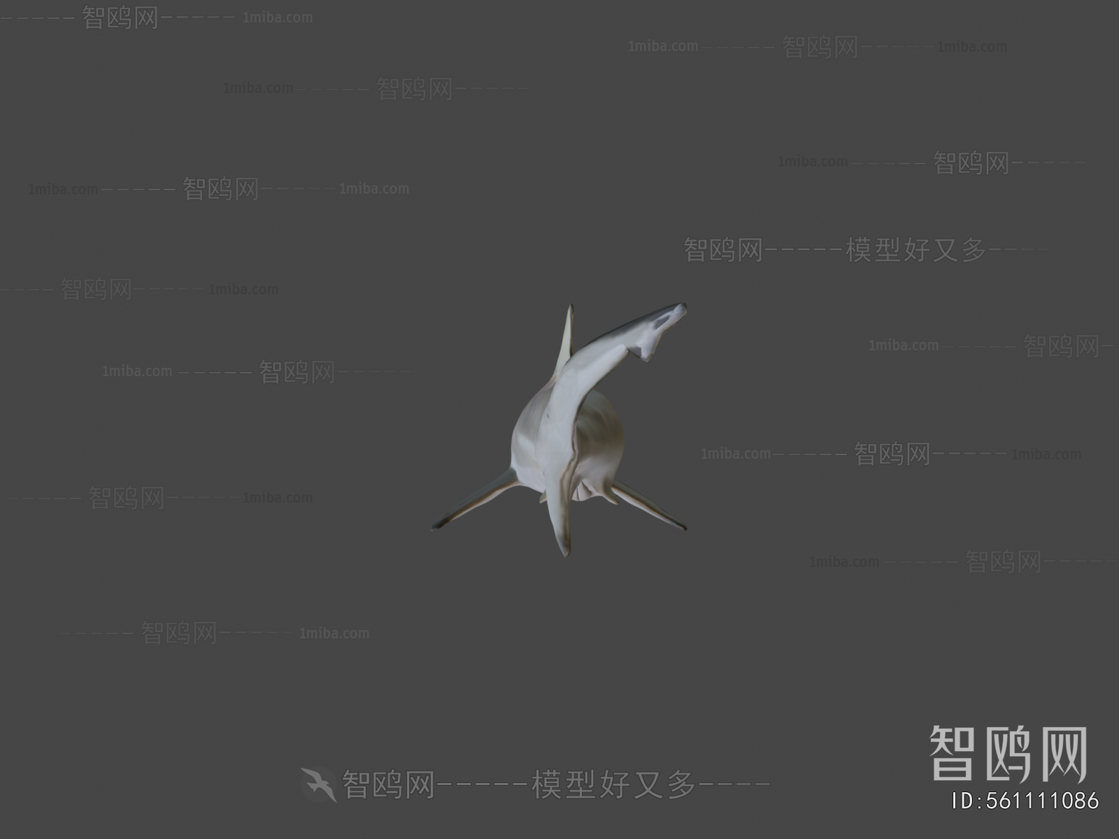 Modern Aquatic Animals