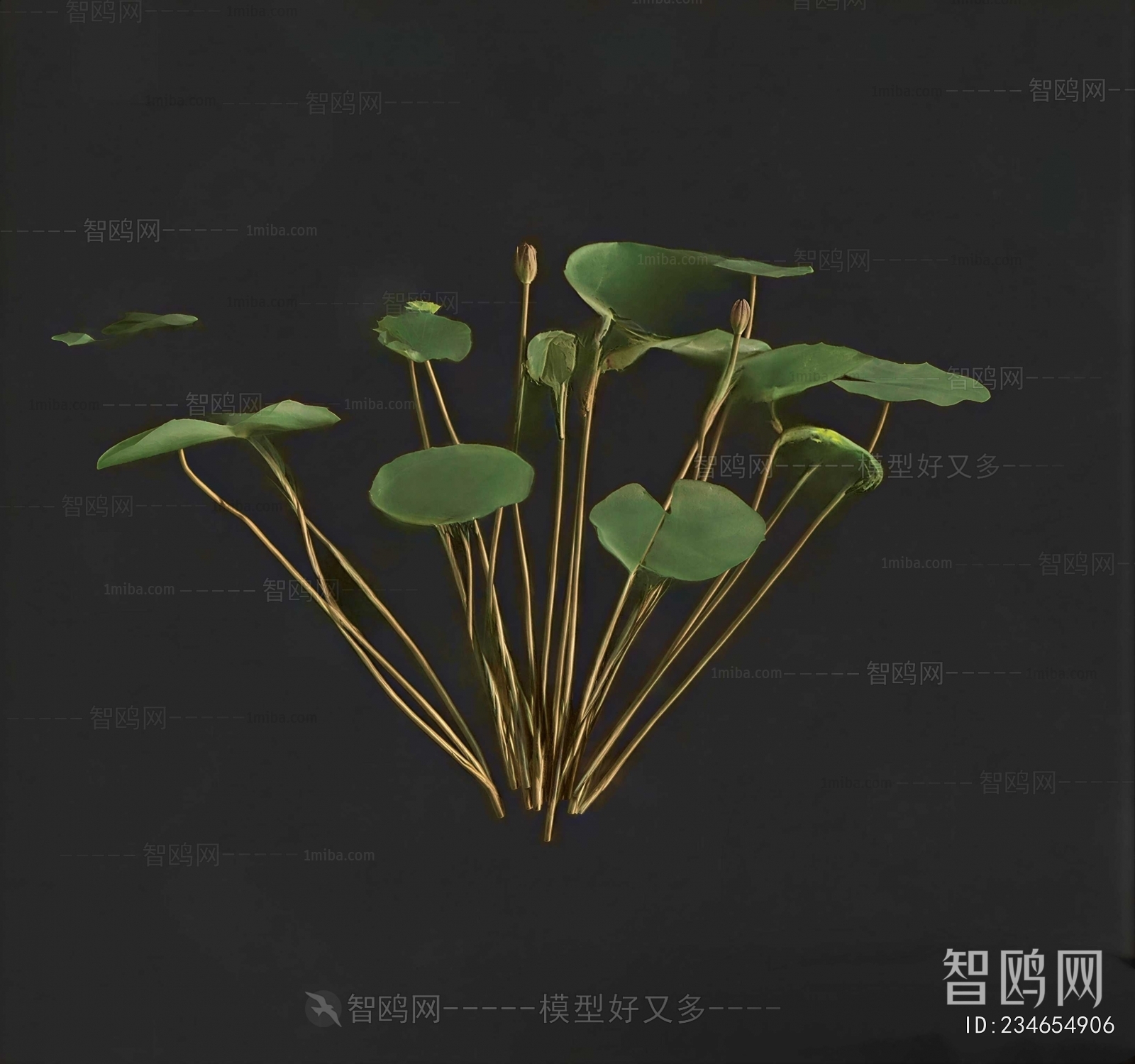 Modern Flowers And Grass