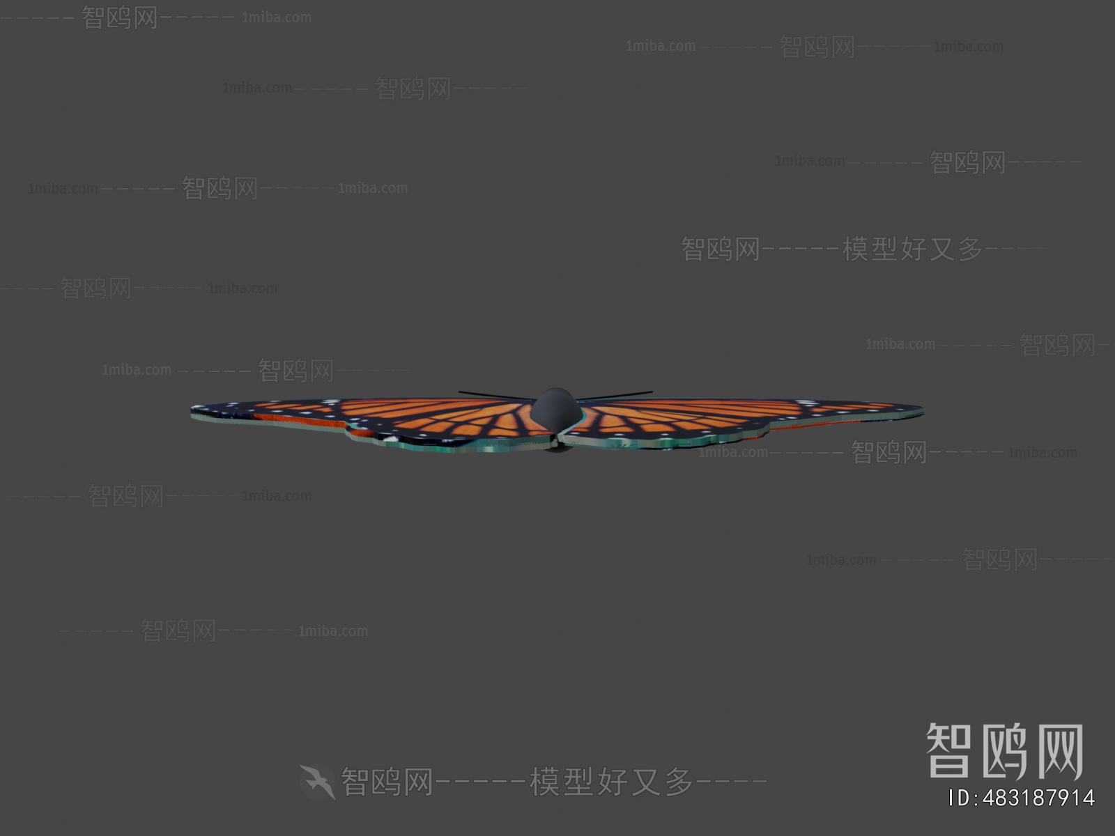 Modern Flying Animals