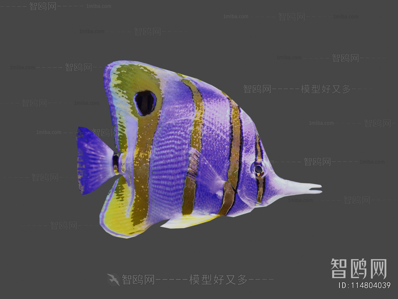 Modern Aquatic Animals