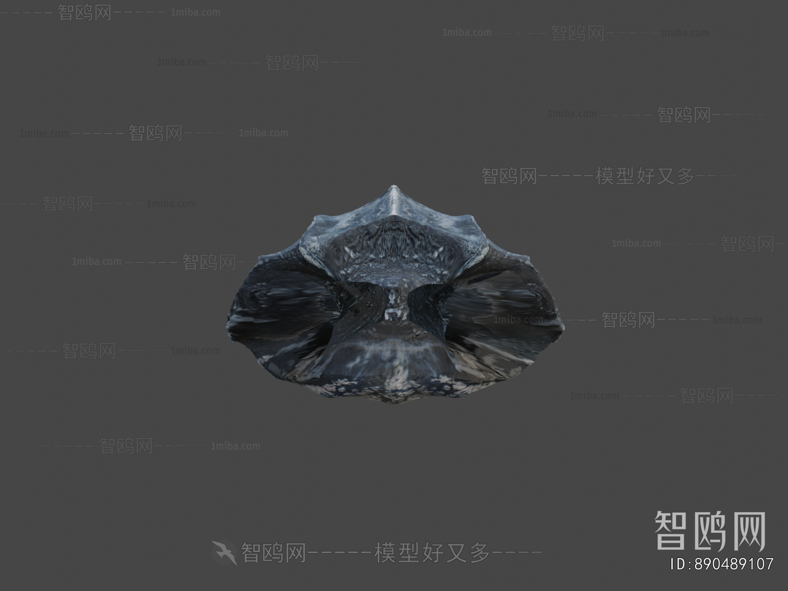 Modern Aquatic Animals