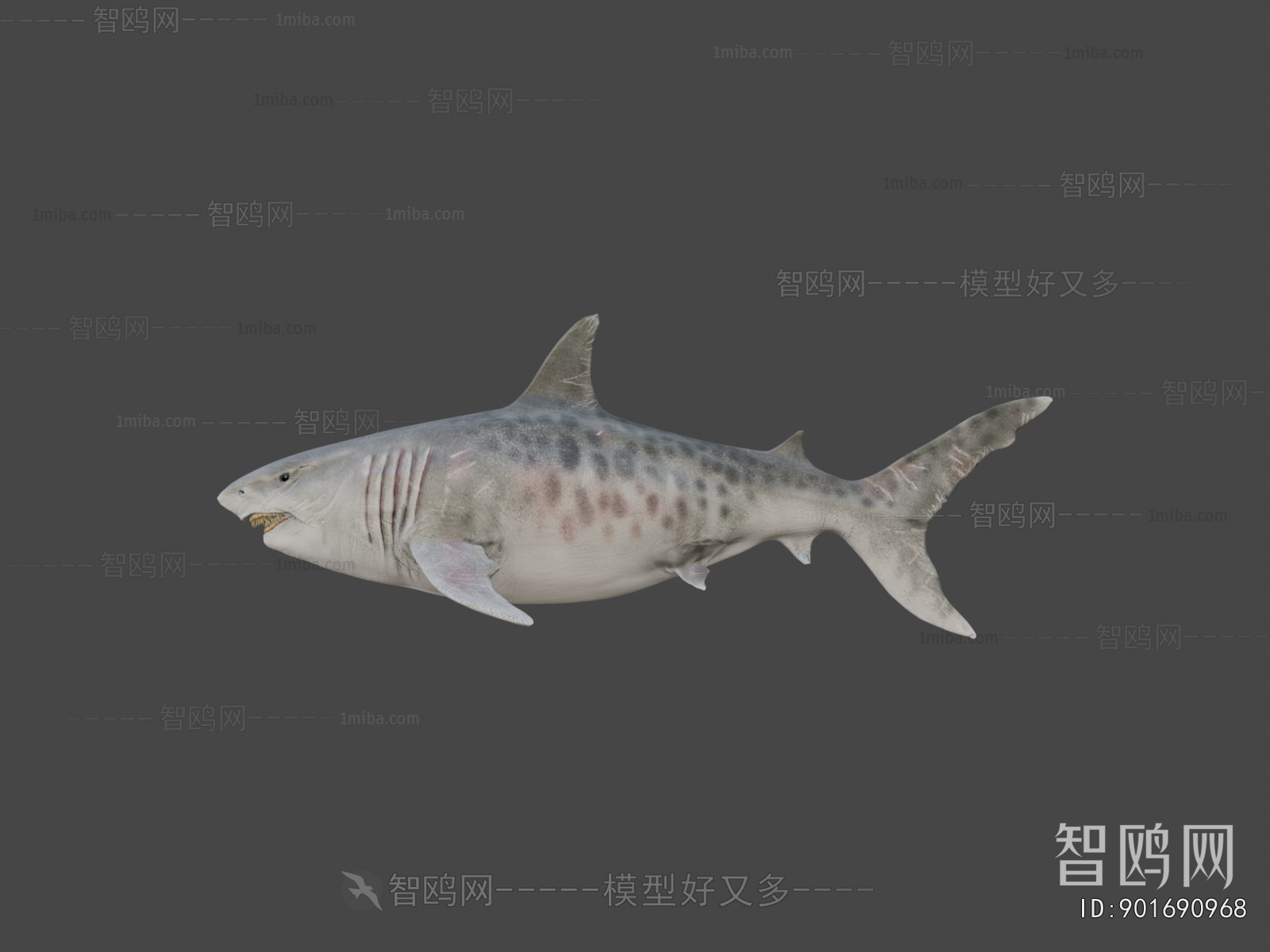 Modern Aquatic Animals