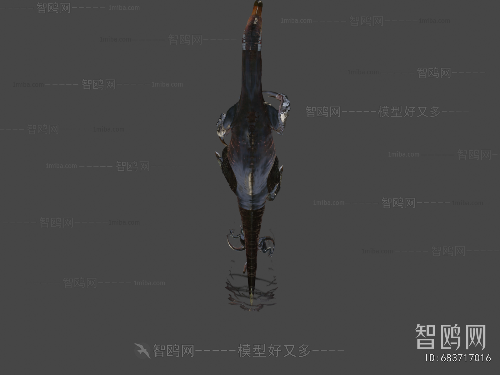 Modern Flying Animals