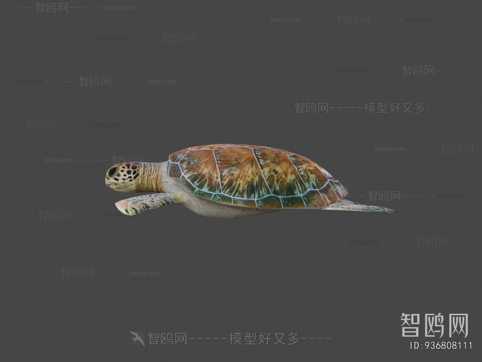 Modern Aquatic Animals