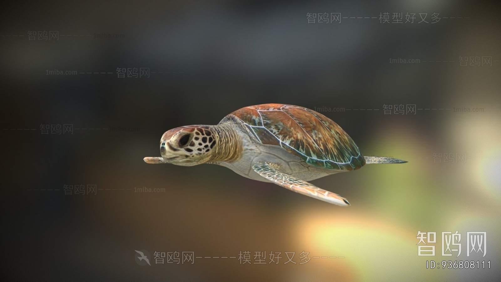 Modern Aquatic Animals