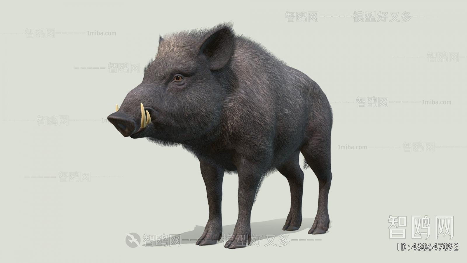 Modern Animal Pig