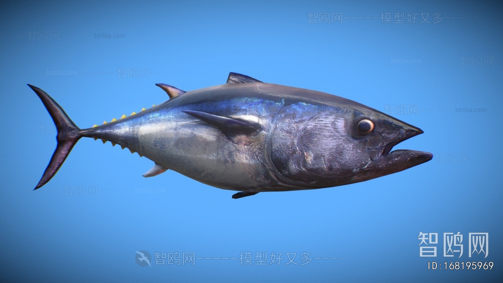 Modern Aquatic Animals