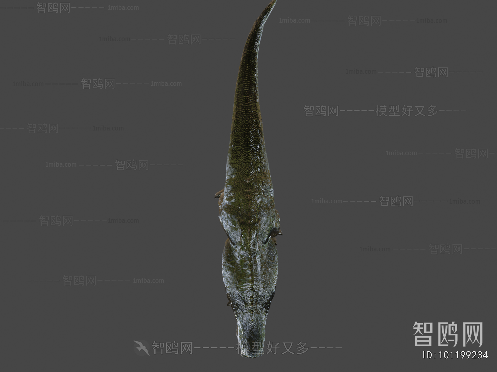 Modern Other Animals