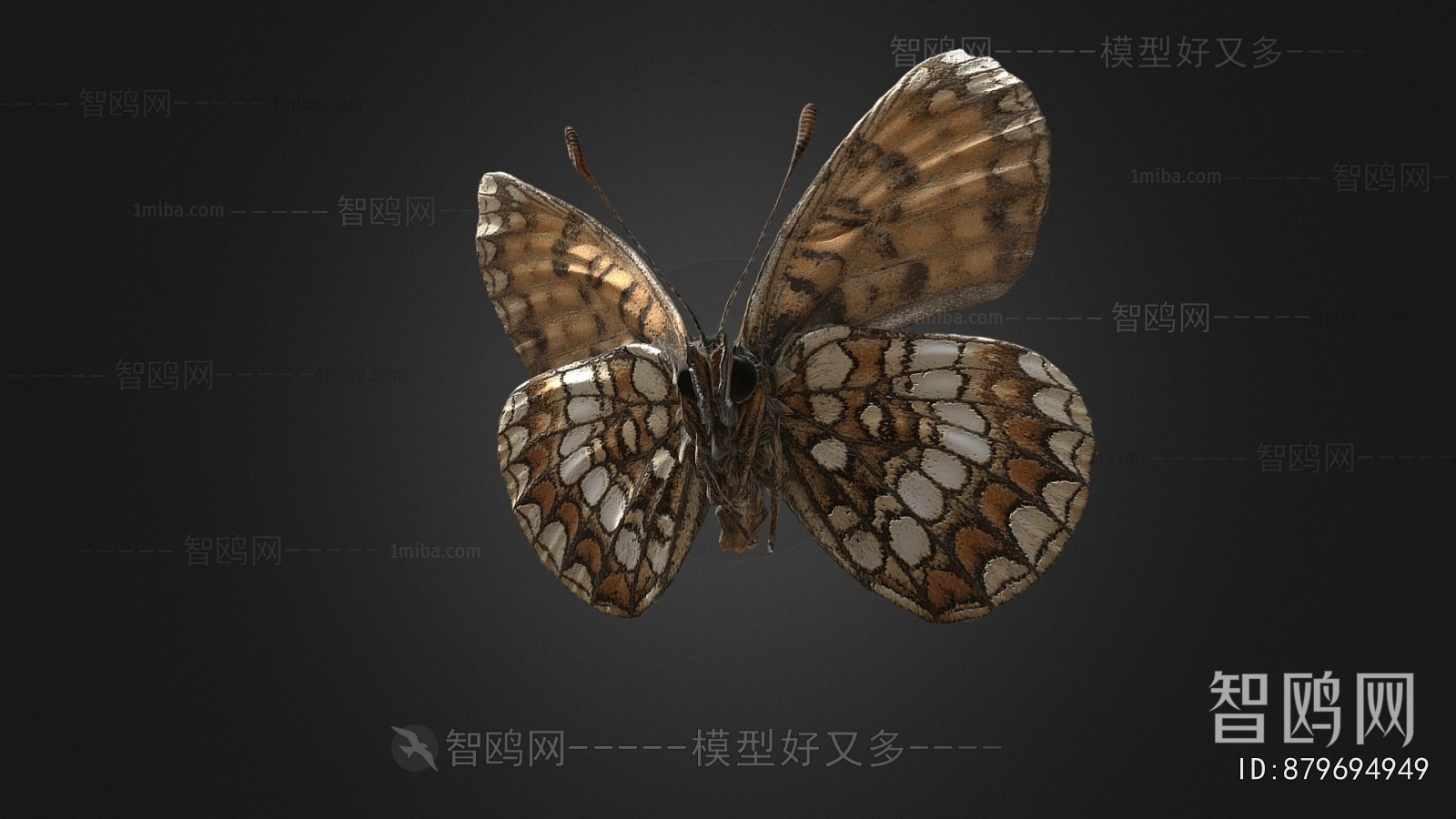 Modern Flying Animals