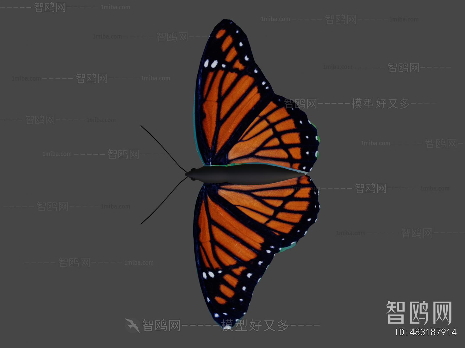 Modern Flying Animals