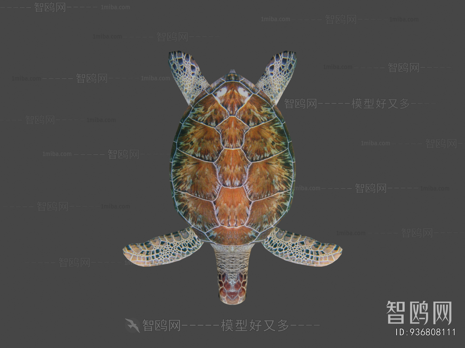 Modern Aquatic Animals