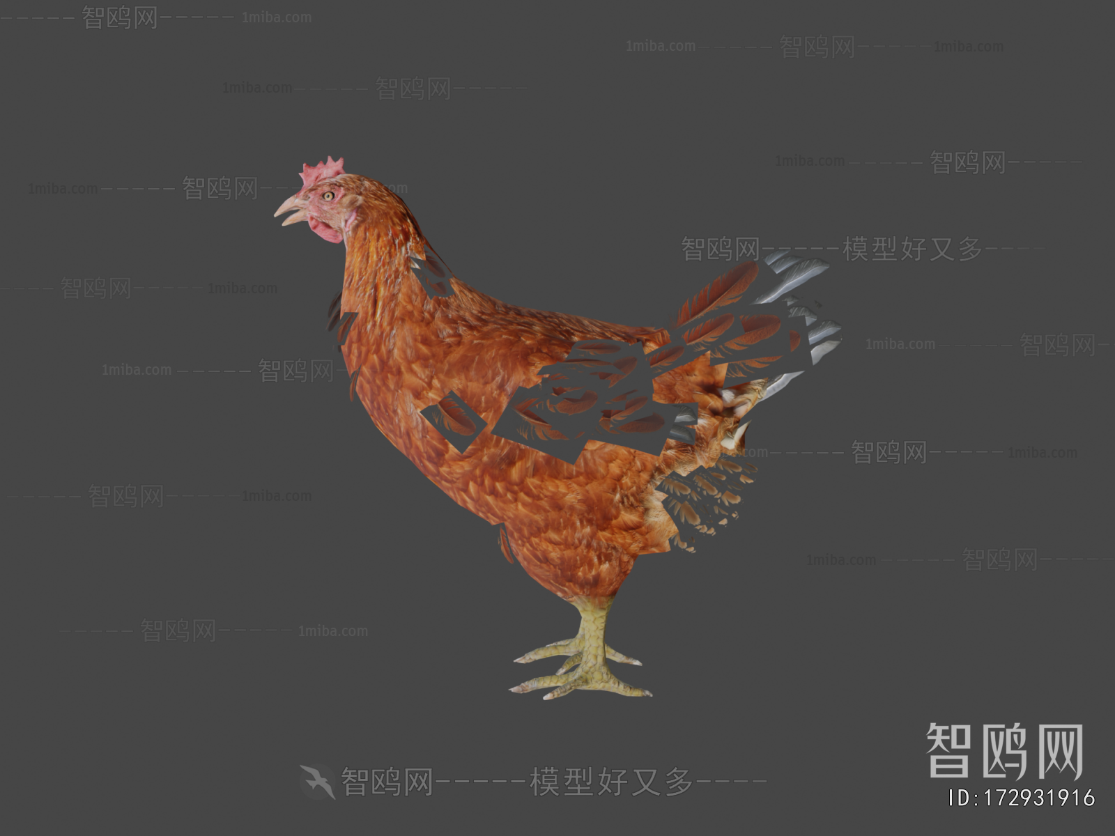 Modern Poultry Animal