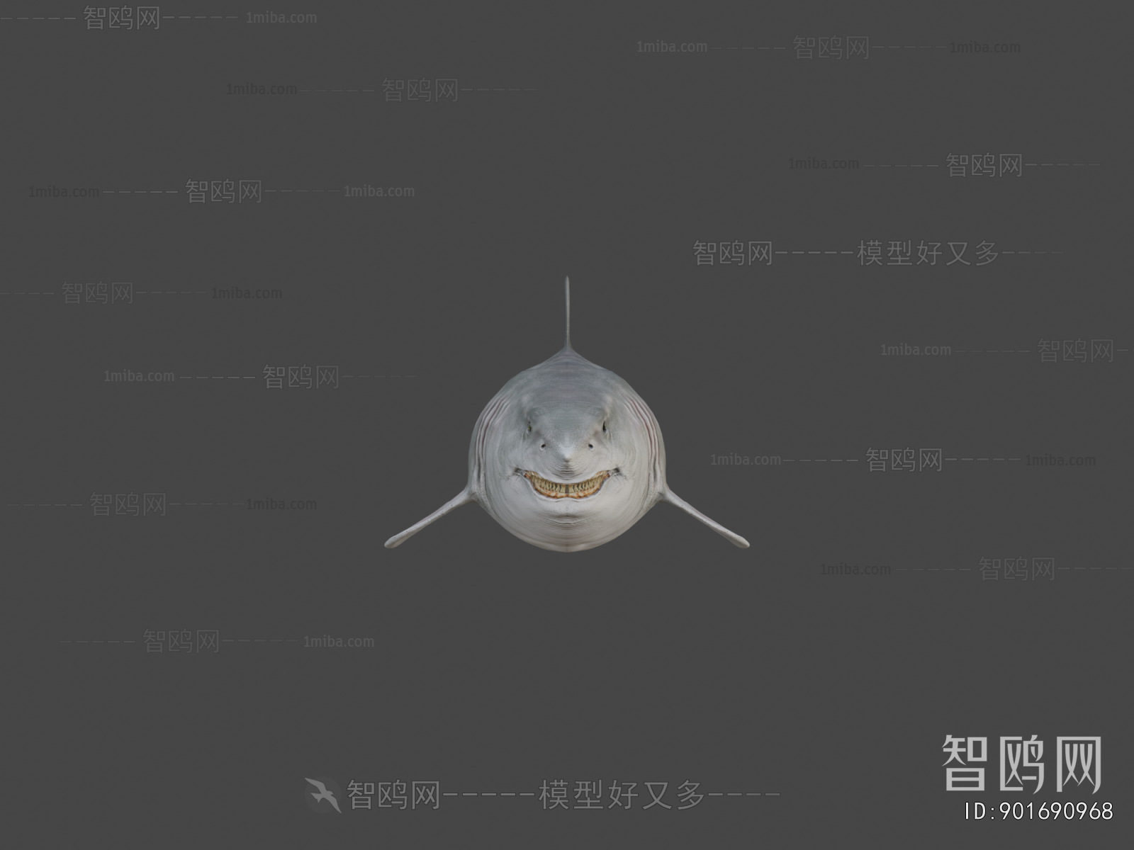 Modern Aquatic Animals