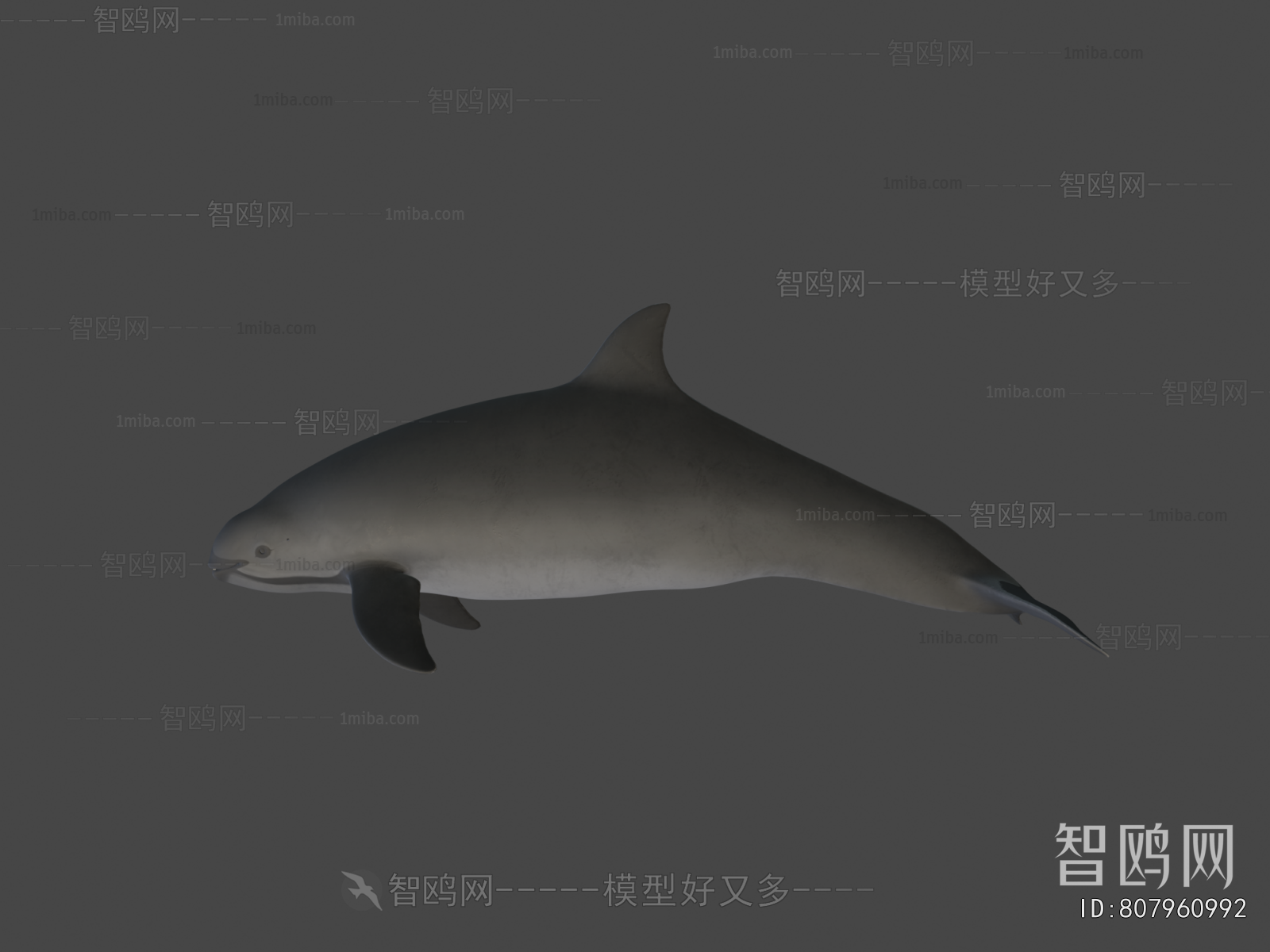 Modern Aquatic Animals