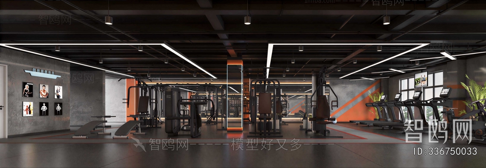 Modern Gym