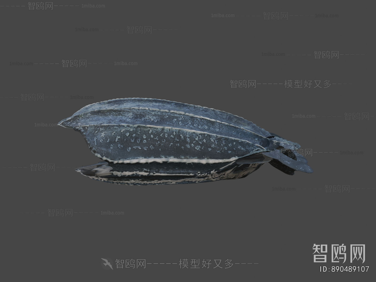 Modern Aquatic Animals