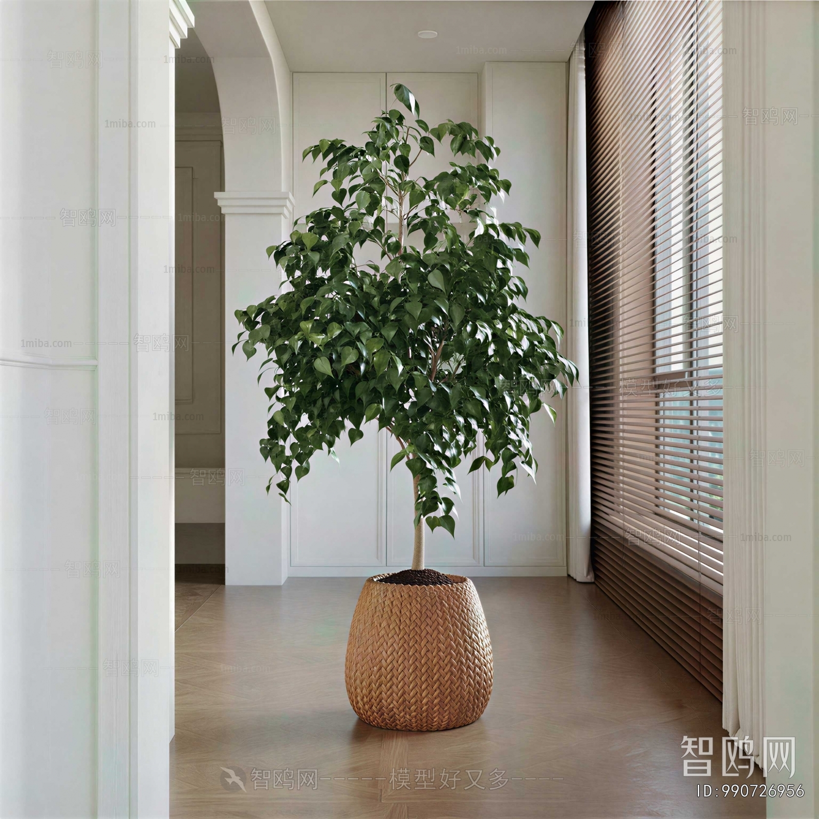 Modern Ground Green Plant Potted Plants