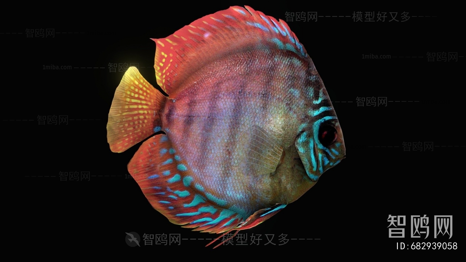 Modern Aquatic Animals