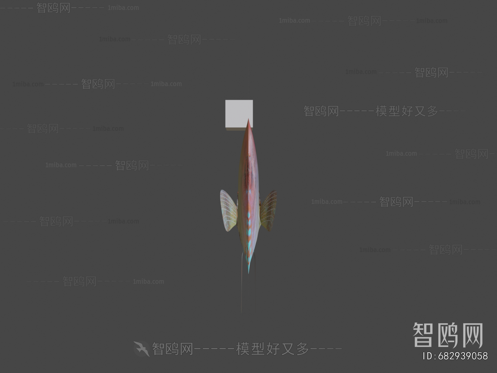 Modern Aquatic Animals