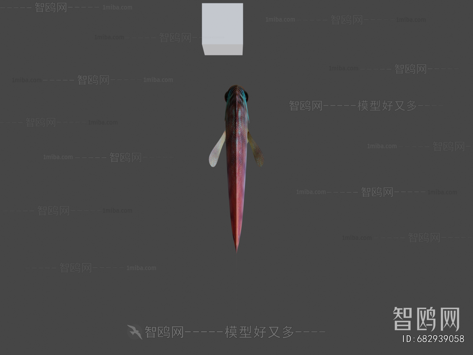 Modern Aquatic Animals