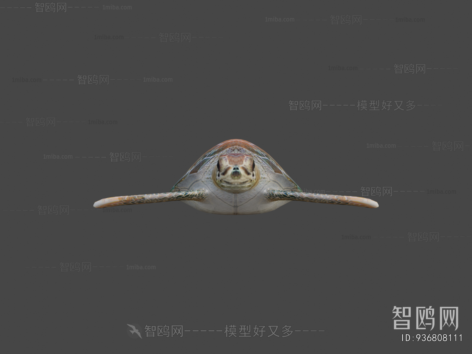 Modern Aquatic Animals