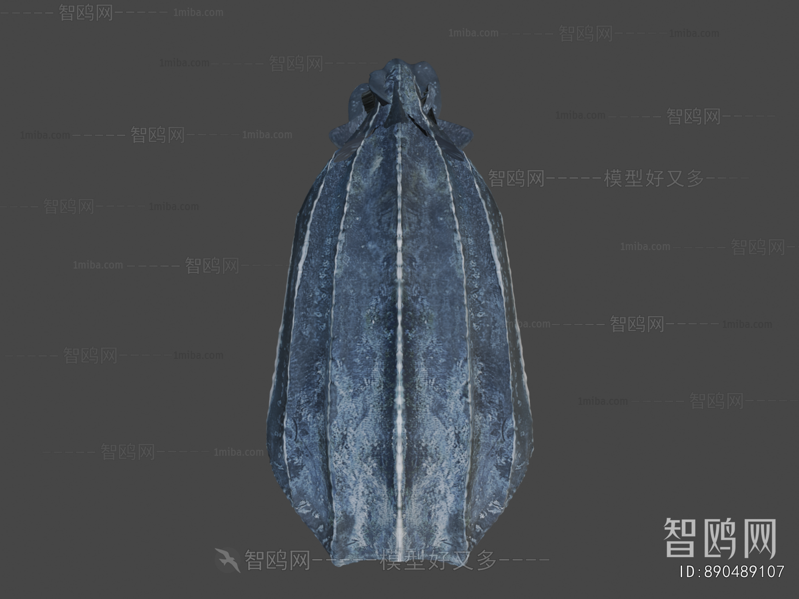 Modern Aquatic Animals