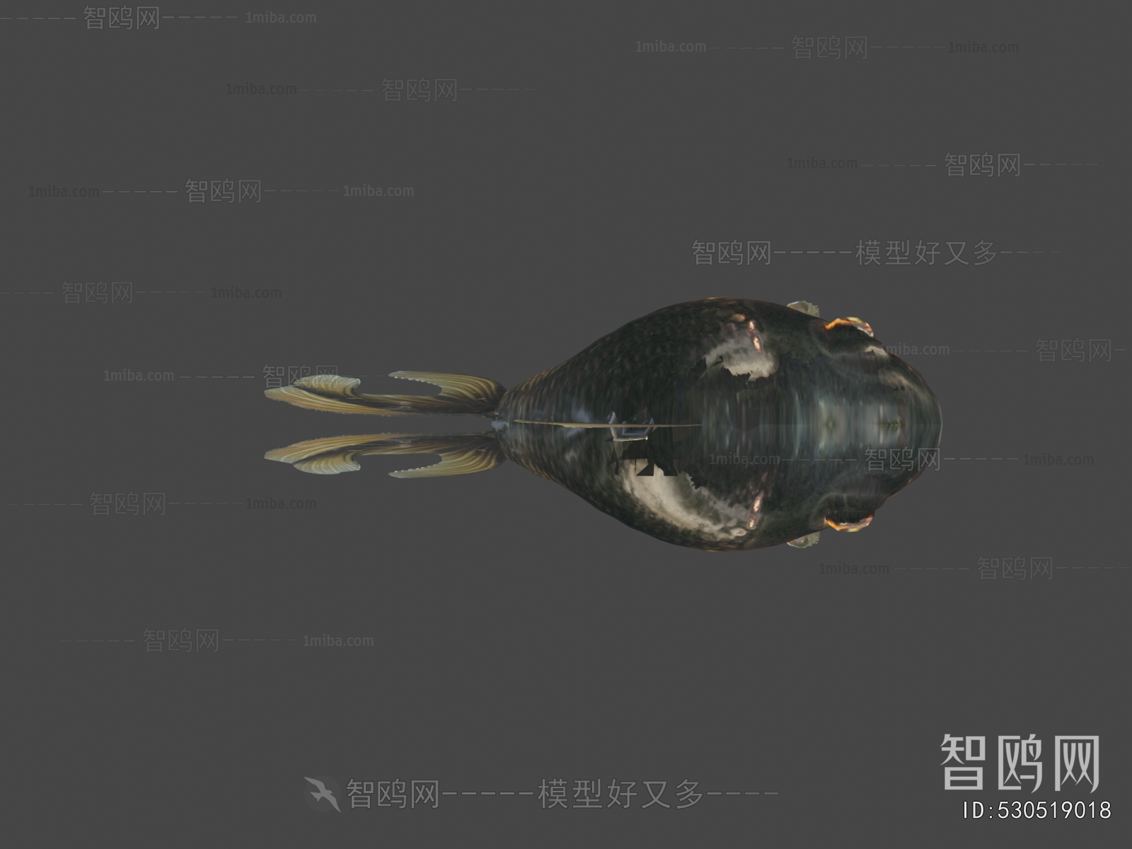 Modern Aquatic Animals