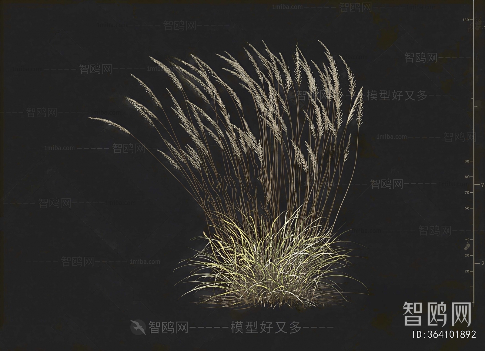 Modern Flowers And Grass