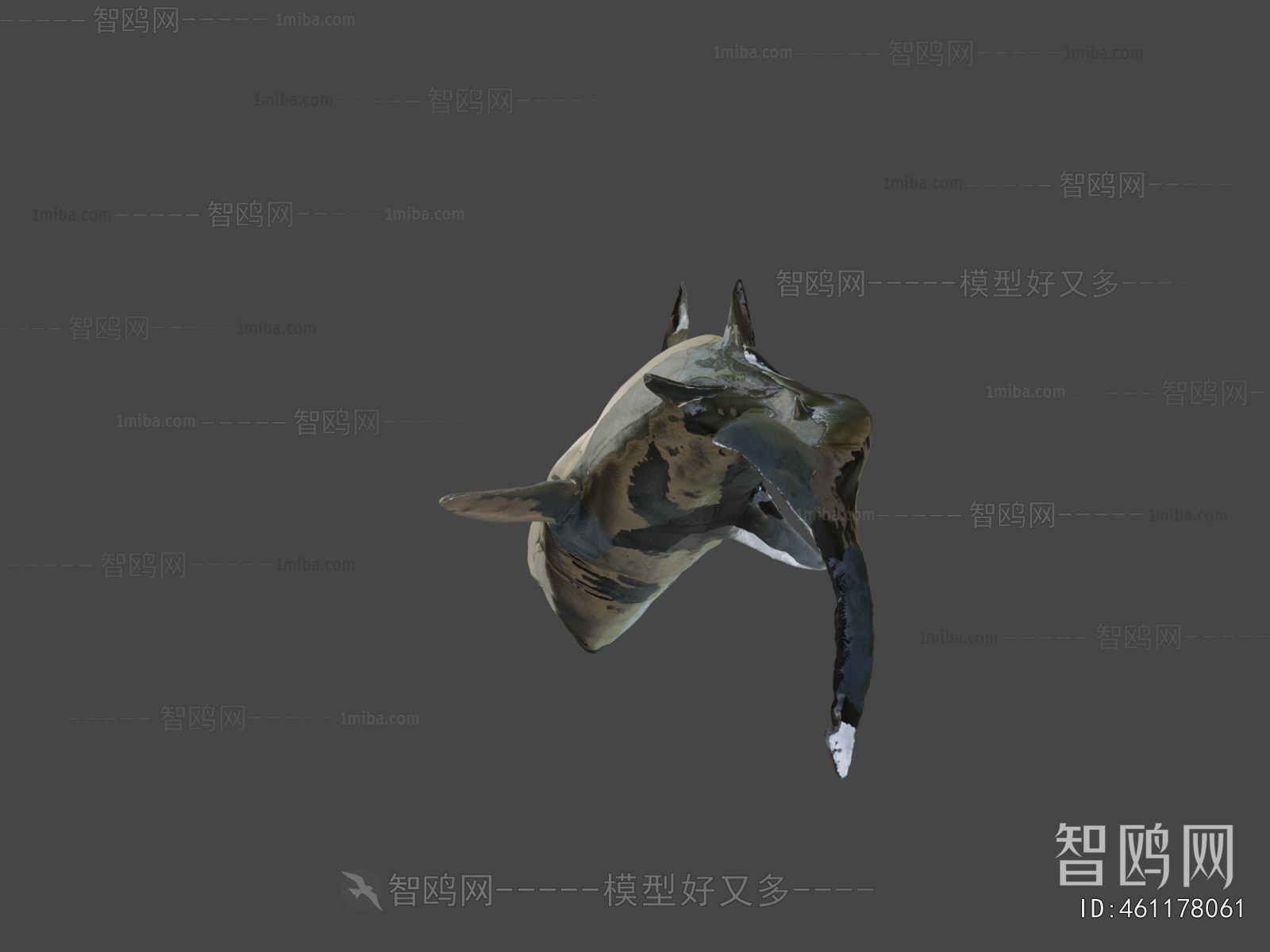 Modern Aquatic Animals