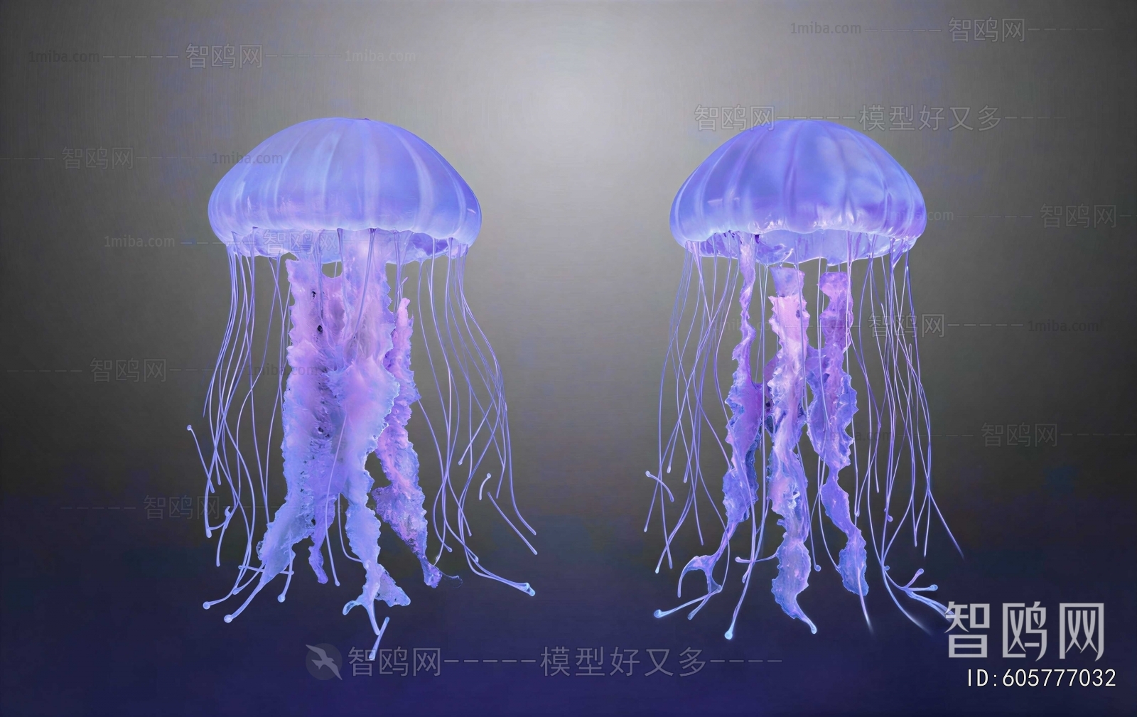 Modern Aquatic Animals