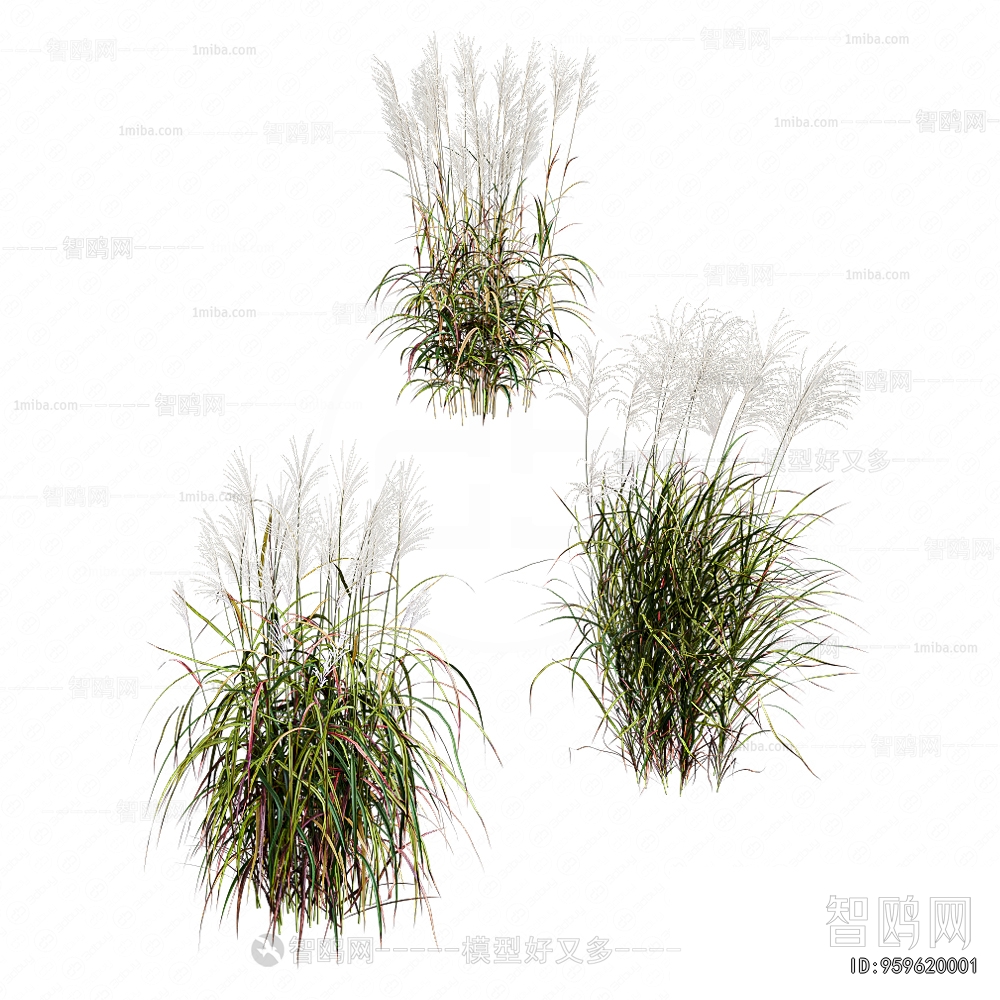 Modern Tree/shrub/grass