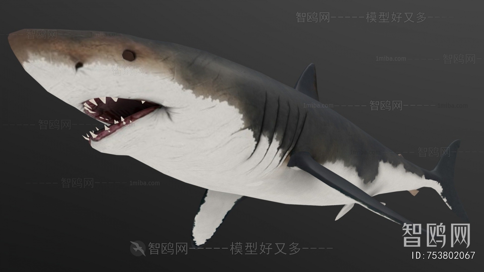 Modern Aquatic Animals