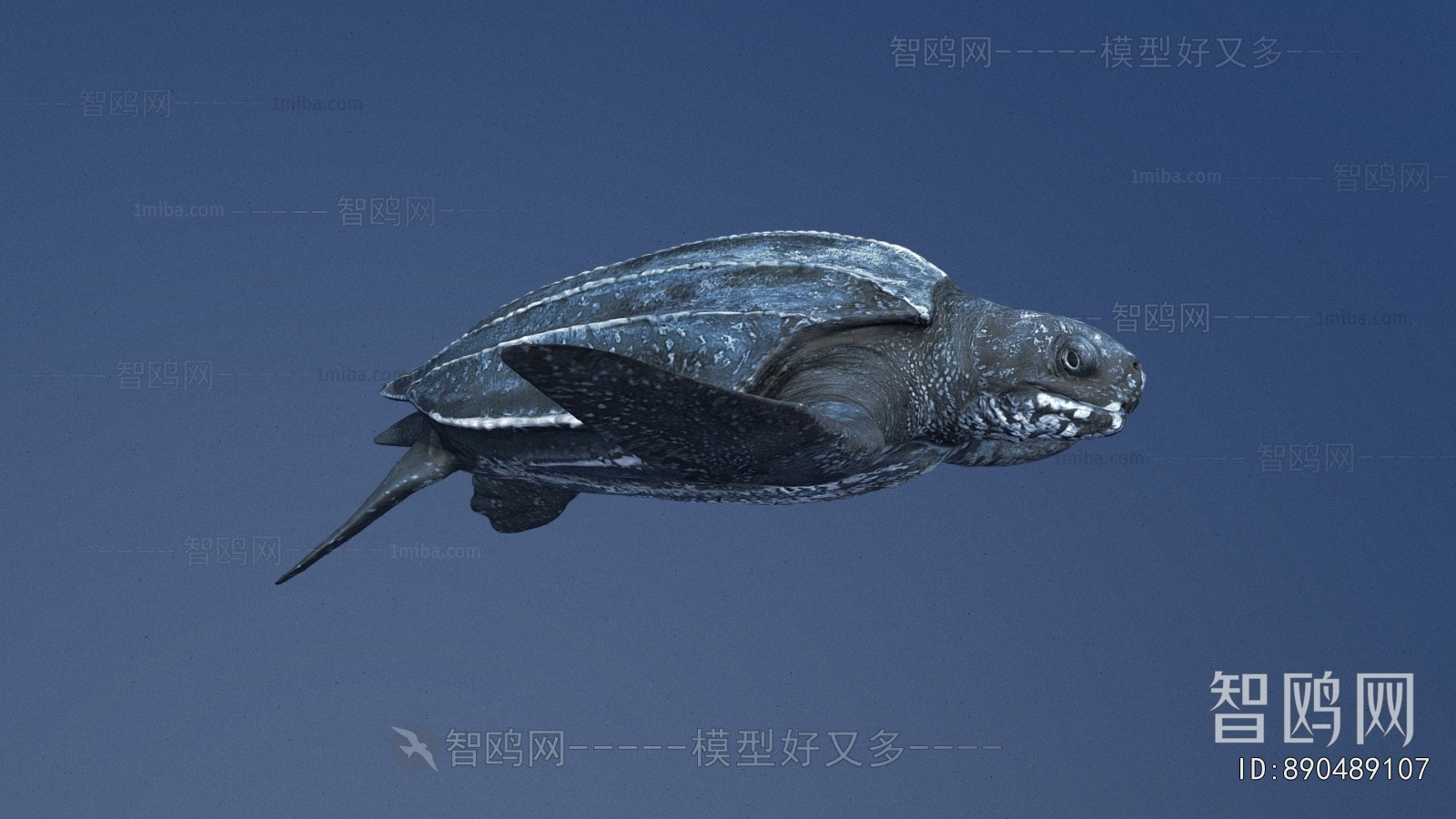 Modern Aquatic Animals